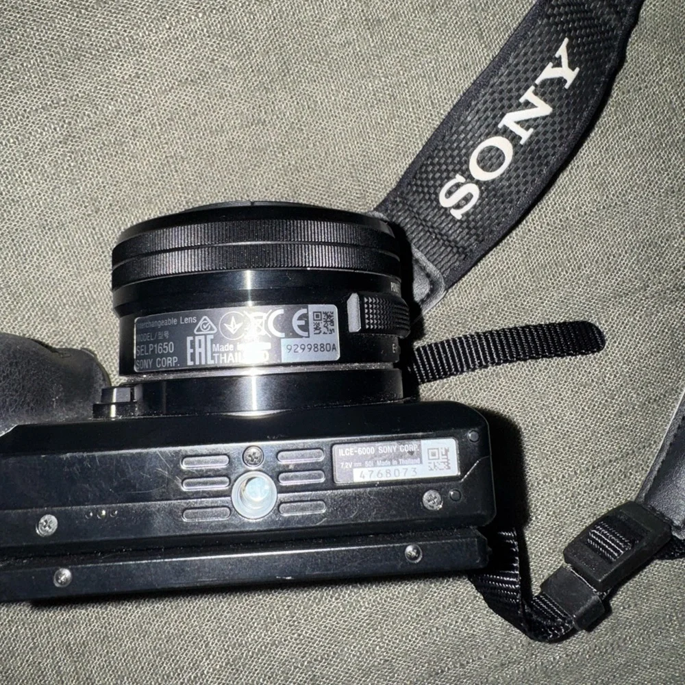 Sony Alpha a6000 Mirrorless Digital Camera